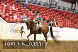 19BUCK_03931 proof
