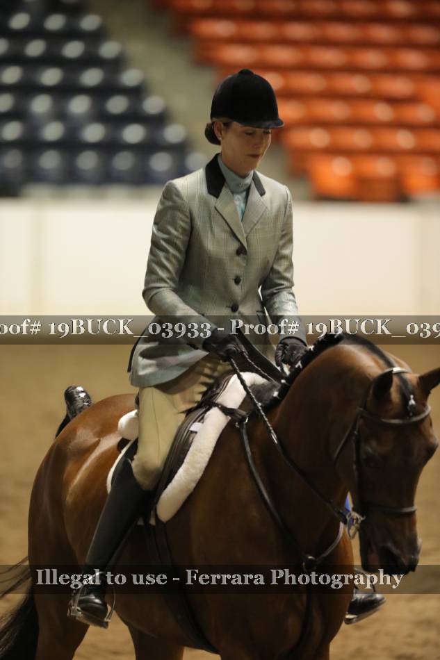 Proof 19BUCK_03933