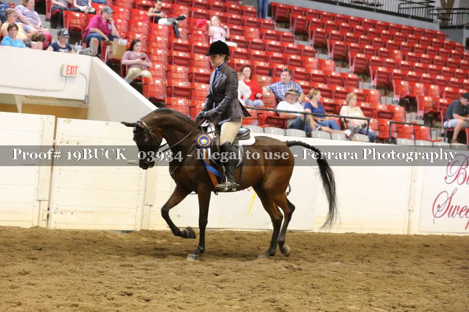 Proof 19BUCK_03934