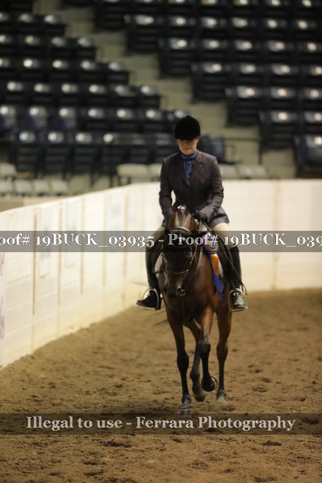 Proof 19BUCK_03935