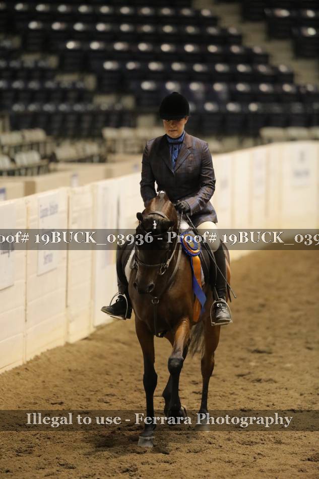 Proof 19BUCK_03936