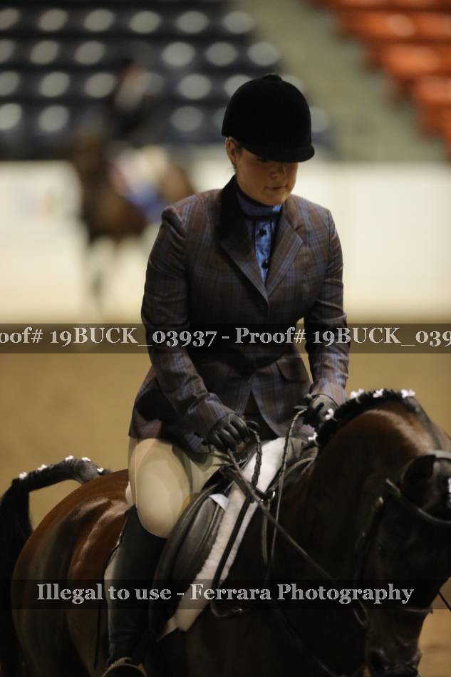 Proof 19BUCK_03937