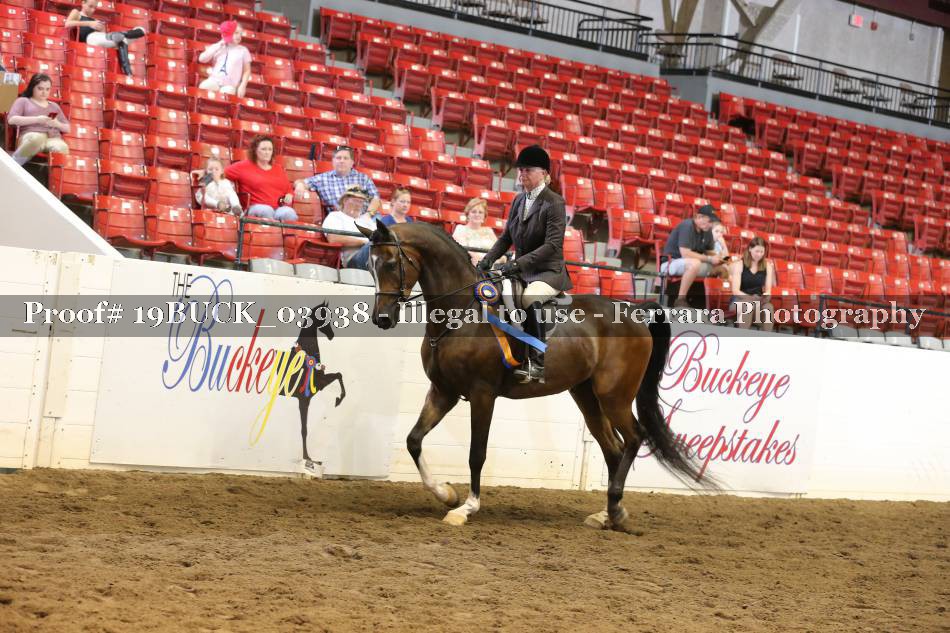 Proof 19BUCK_03938