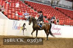 19BUCK_03938 proof