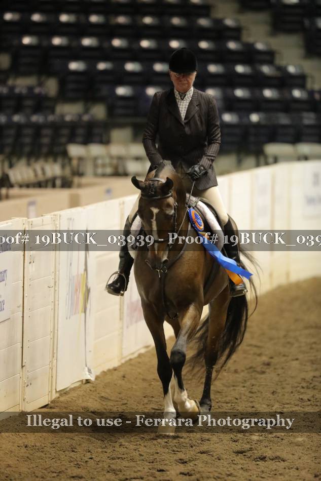 Proof 19BUCK_03939