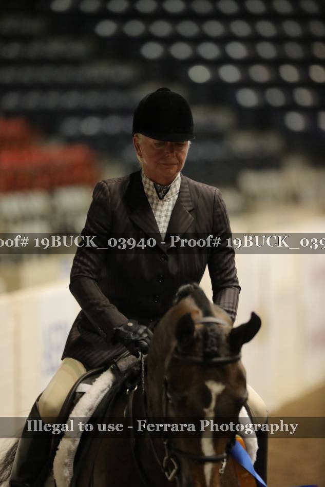 Proof 19BUCK_03940