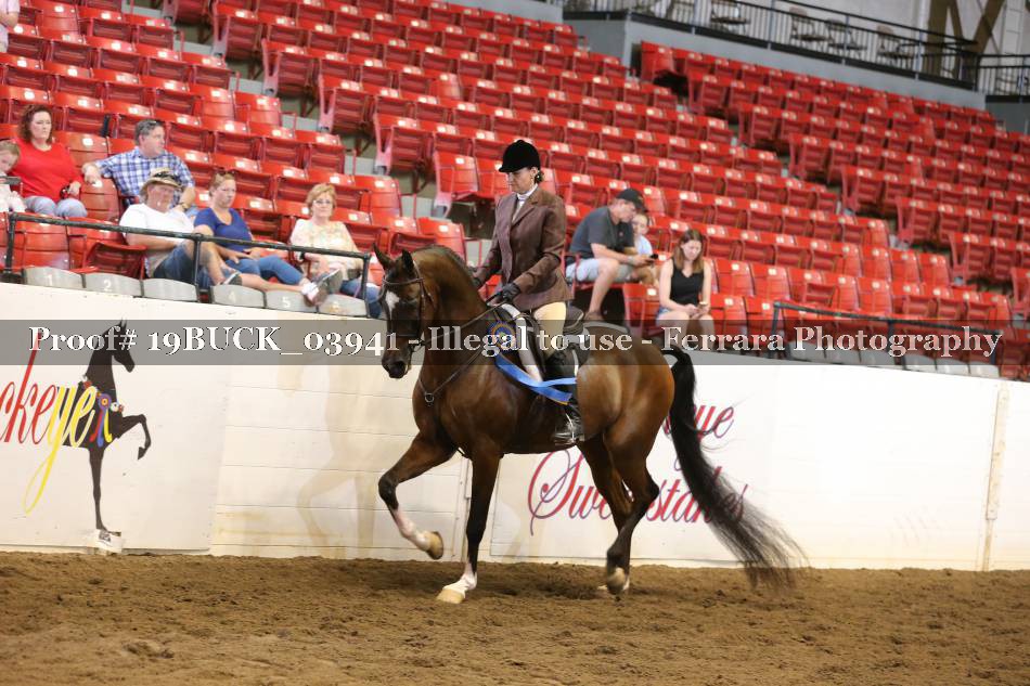 Proof 19BUCK_03941