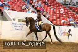 19BUCK_03942 proof