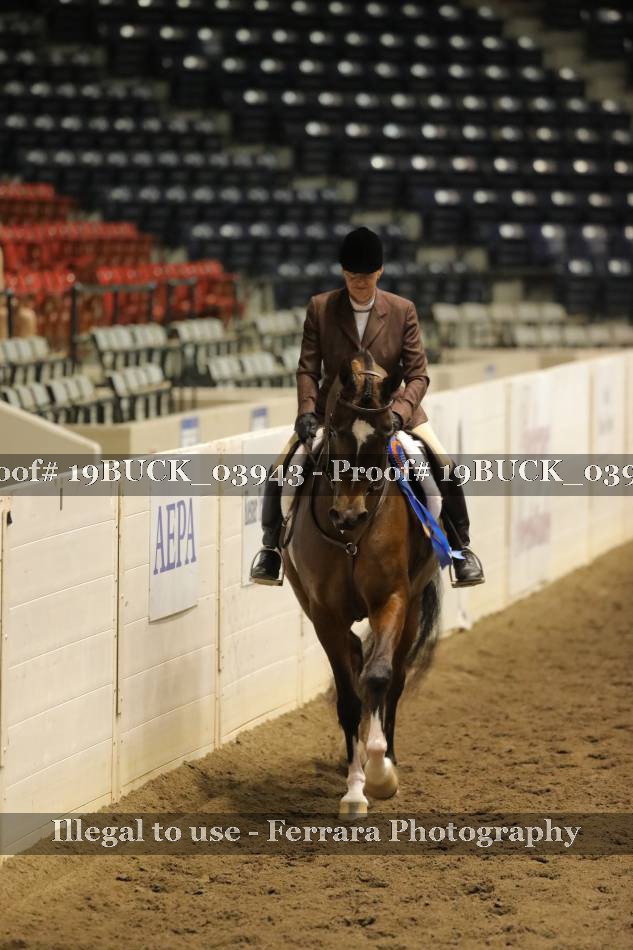 Proof 19BUCK_03943