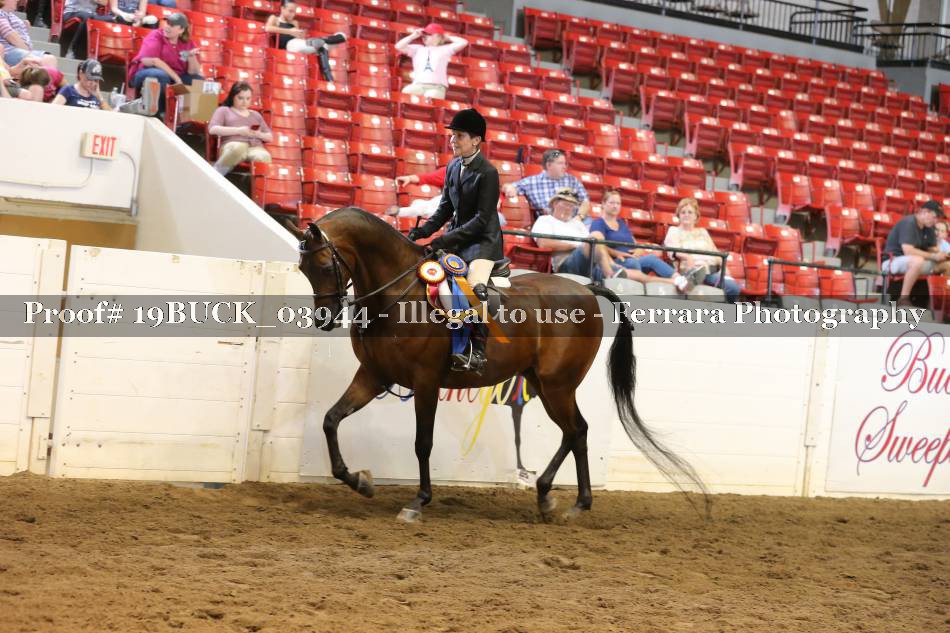 Proof 19BUCK_03944