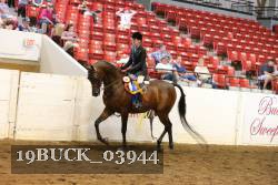 19BUCK_03944 proof
