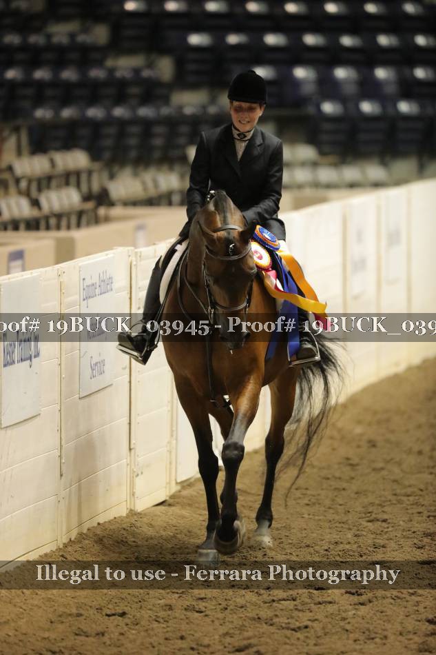 Proof 19BUCK_03945