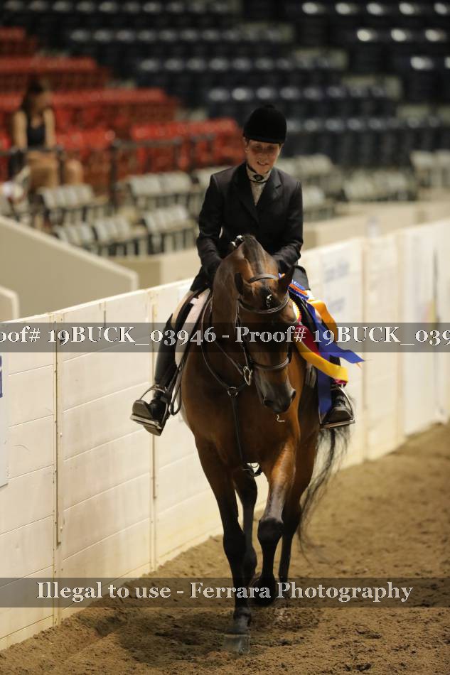 Proof 19BUCK_03946