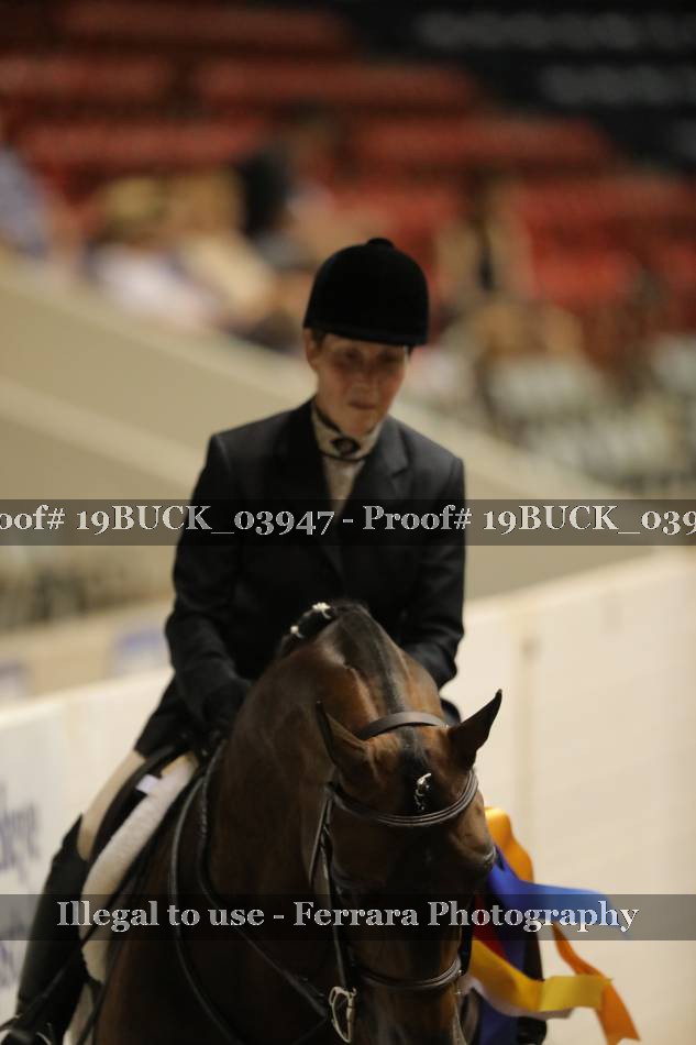 Proof 19BUCK_03947