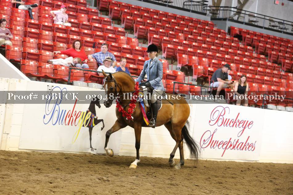 Proof 19BUCK_03948