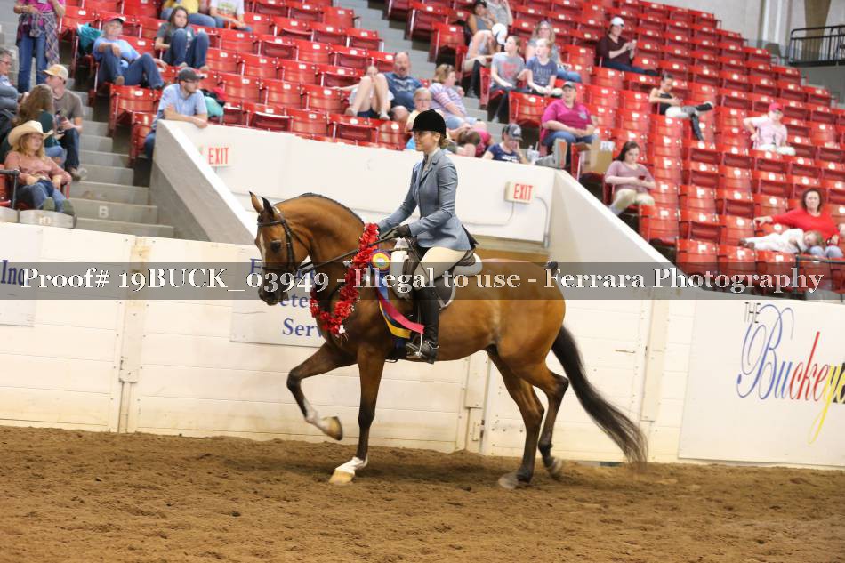 Proof 19BUCK_03949