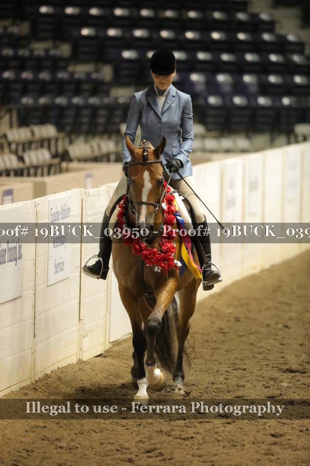 Proof 19BUCK_03950