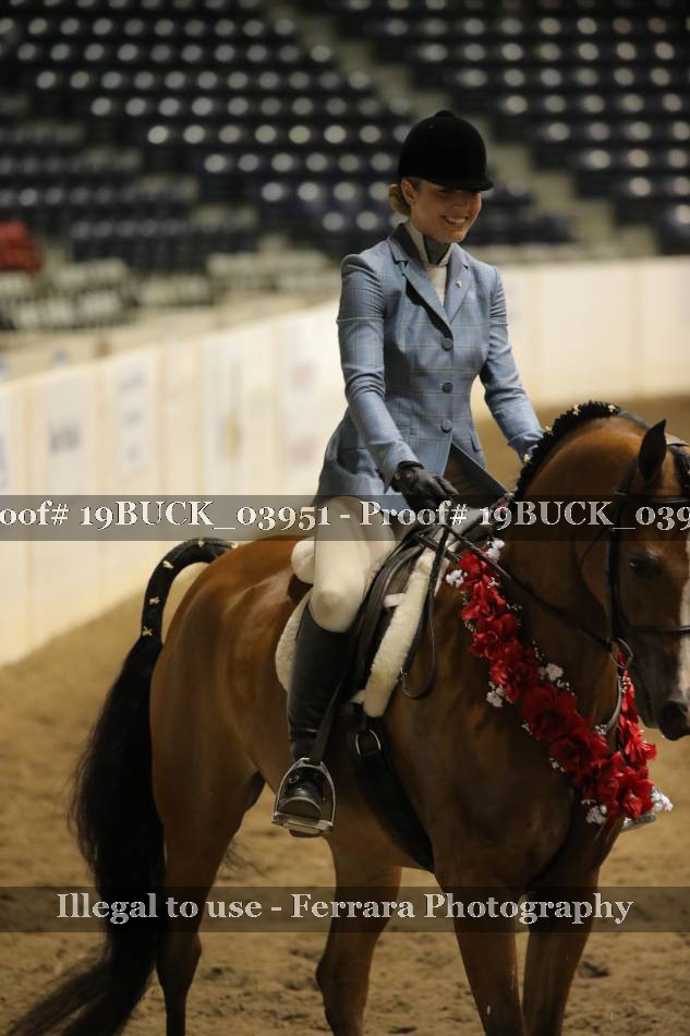Proof 19BUCK_03951