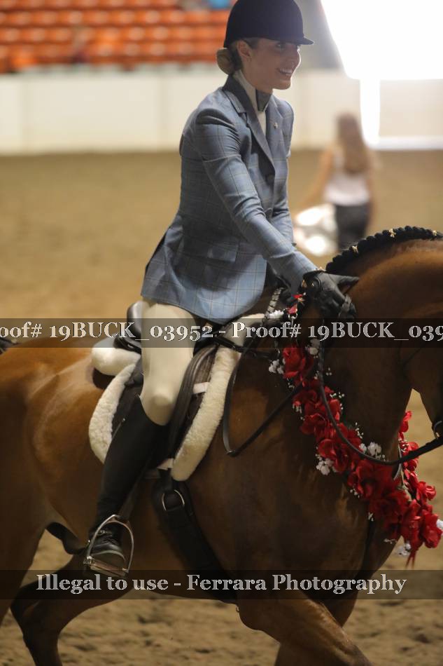 Proof 19BUCK_03952