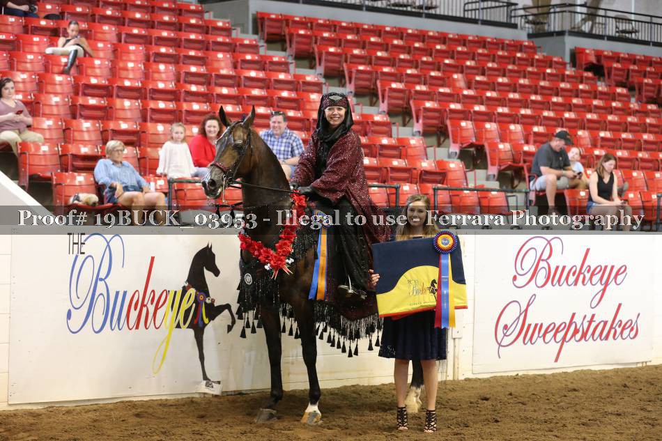 Proof 19BUCK_03953