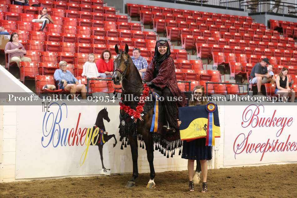 Proof 19BUCK_03954