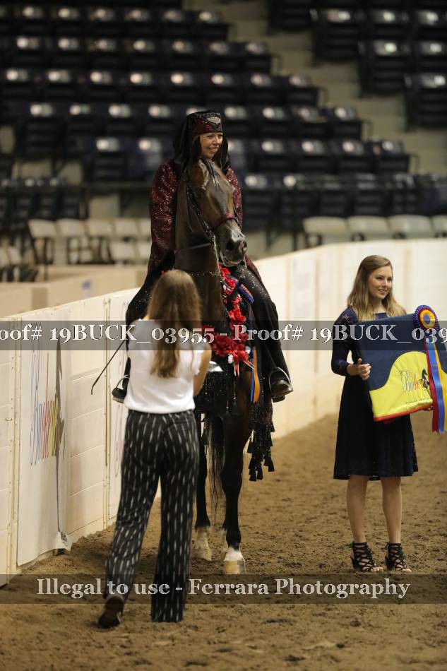 Proof 19BUCK_03955