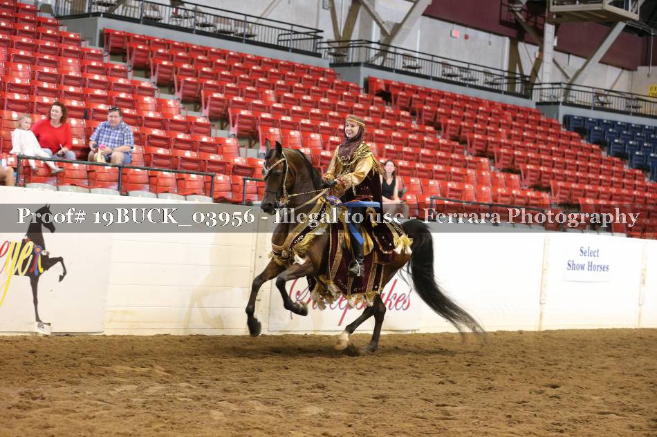 Proof 19BUCK_03956