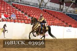19BUCK_03956 proof