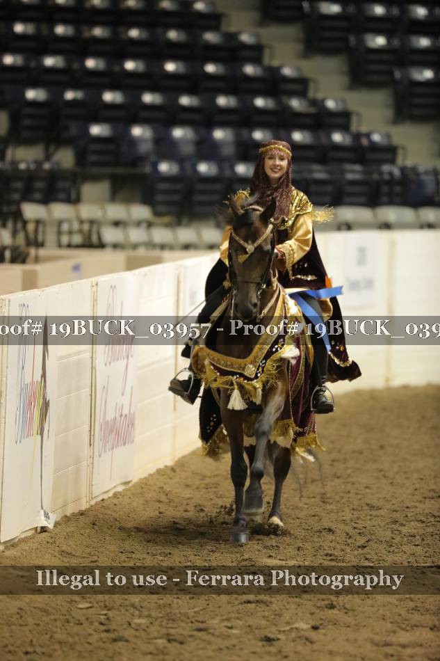 Proof 19BUCK_03957