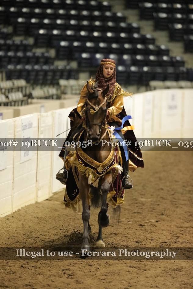 Proof 19BUCK_03958