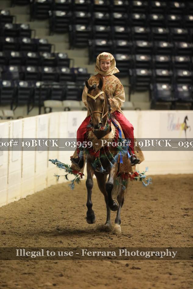 Proof 19BUCK_03959