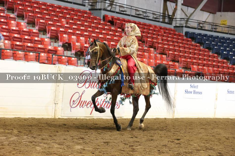 Proof 19BUCK_03960