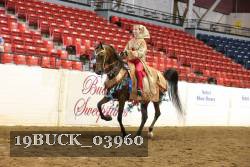 19BUCK_03960 proof