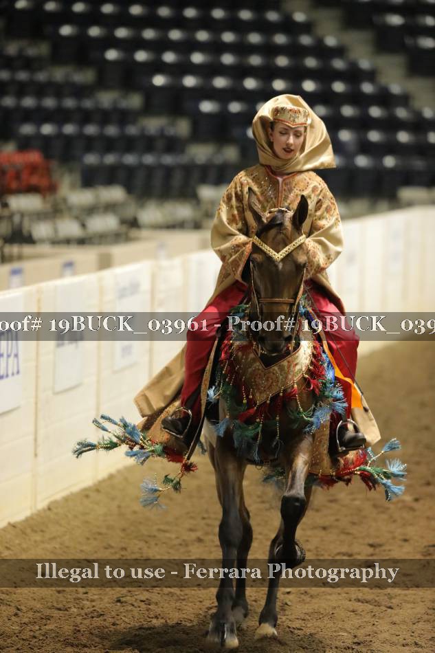 Proof 19BUCK_03961