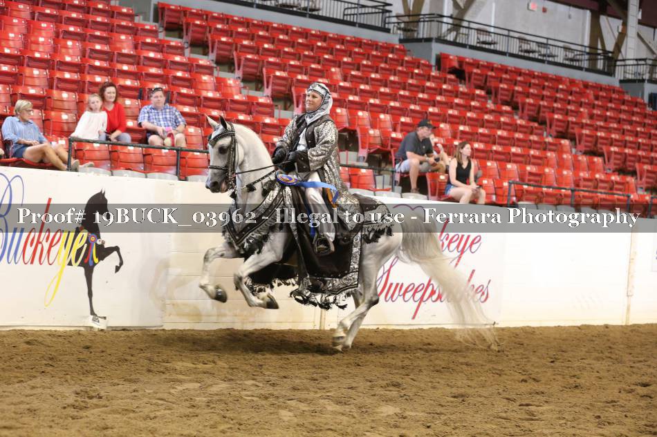Proof 19BUCK_03962