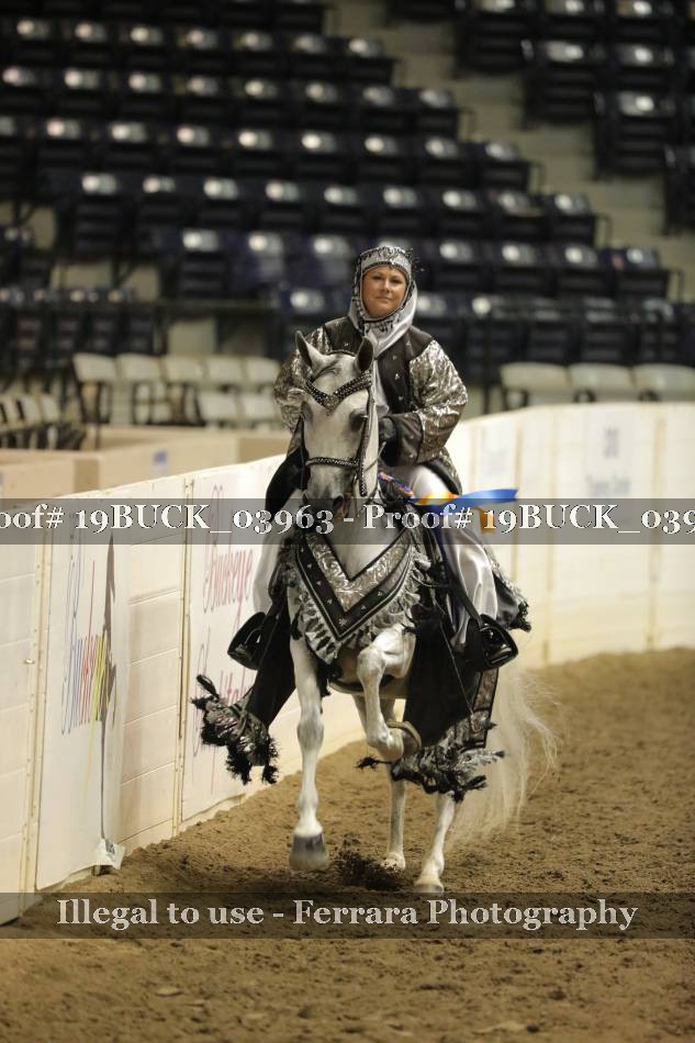 Proof 19BUCK_03963