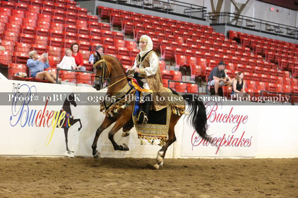 Proof 19BUCK_03965