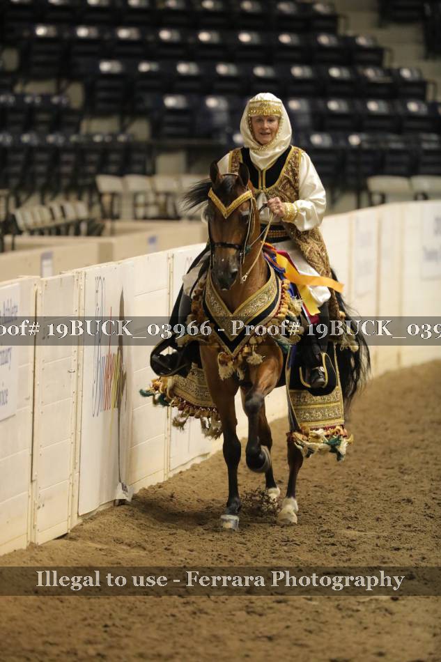 Proof 19BUCK_03966