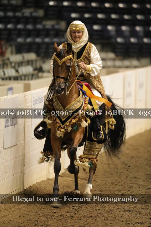 Proof 19BUCK_03967