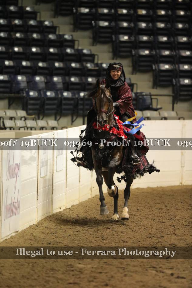 Proof 19BUCK_03969