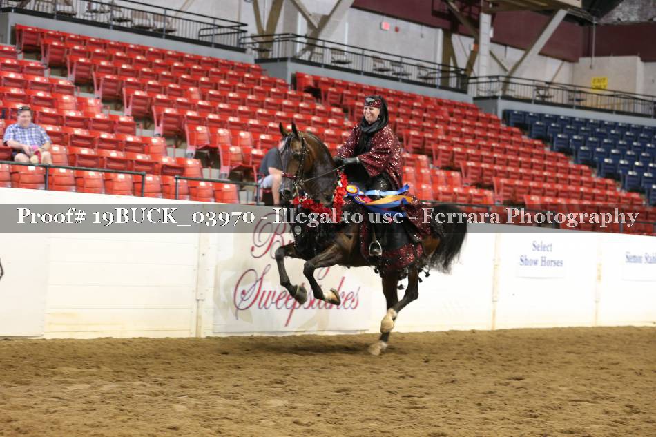 Proof 19BUCK_03970