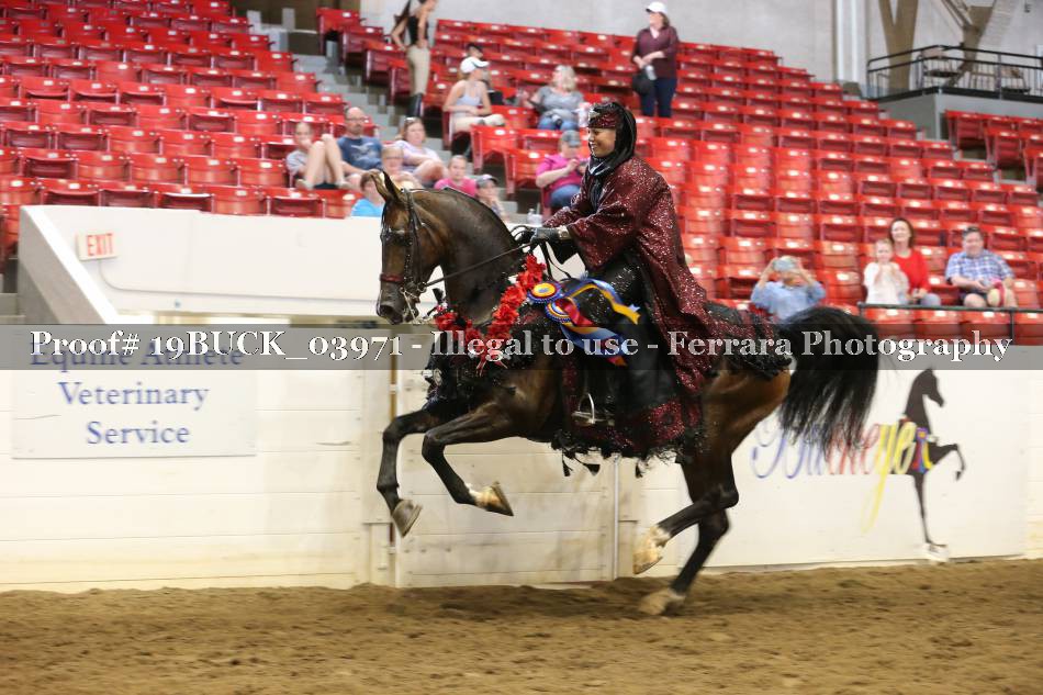 Proof 19BUCK_03971