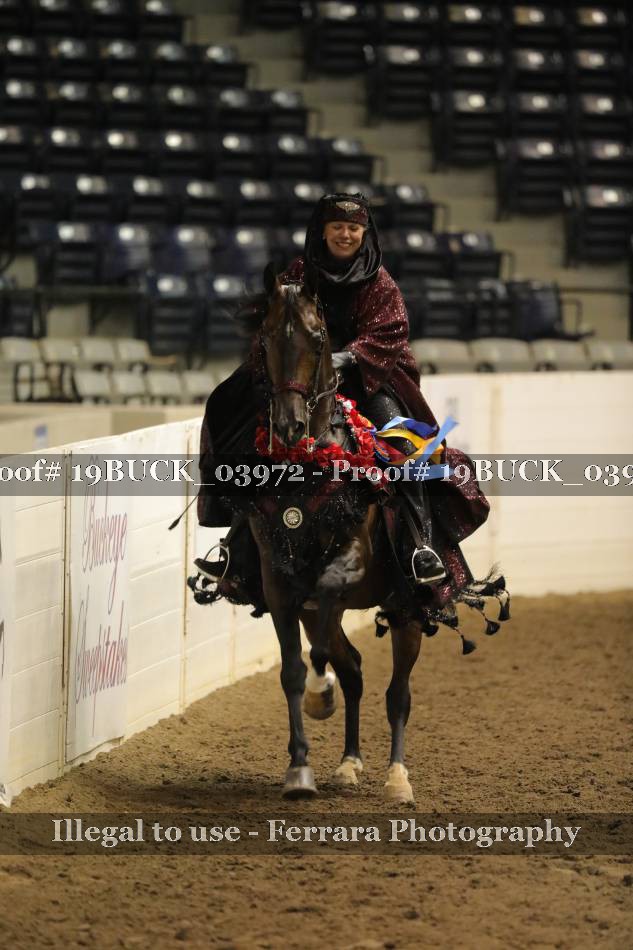 Proof 19BUCK_03972