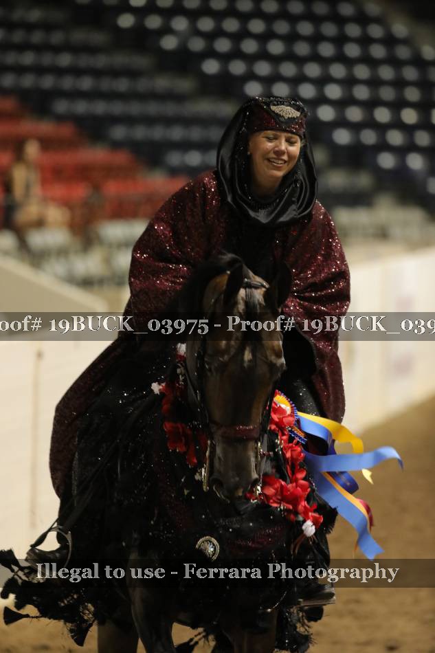 Proof 19BUCK_03975