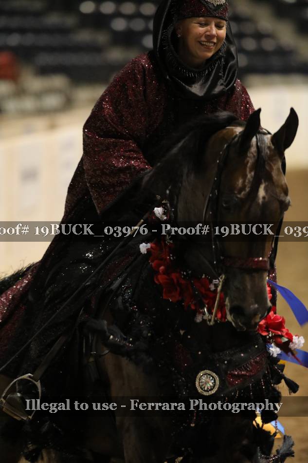 Proof 19BUCK_03976