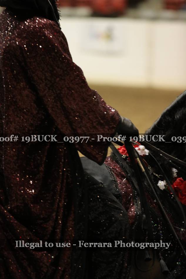 Proof 19BUCK_03977