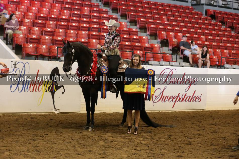 Proof 19BUCK_03978