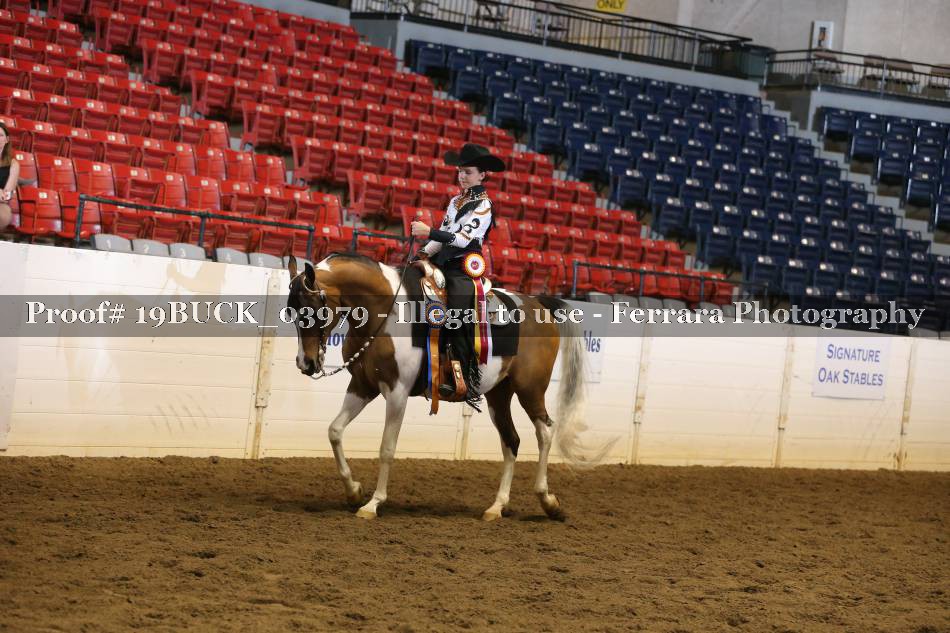 Proof 19BUCK_03979