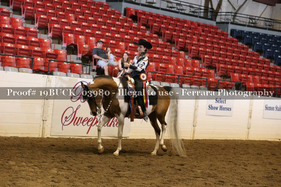 Proof 19BUCK_03980