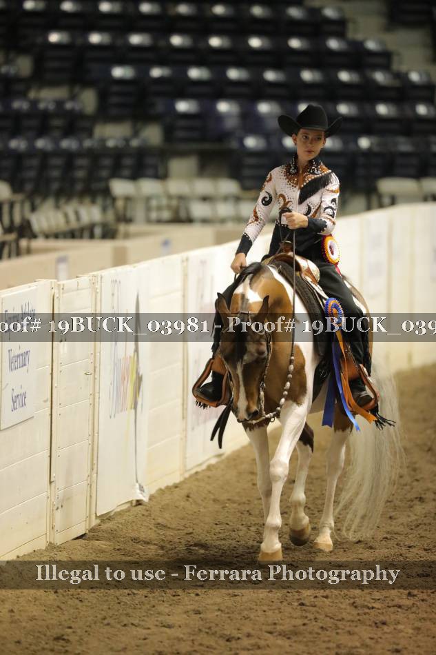 Proof 19BUCK_03981